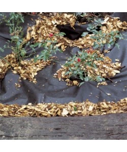 TELO PACCIAMATURA TNT NERO 0.8X5M